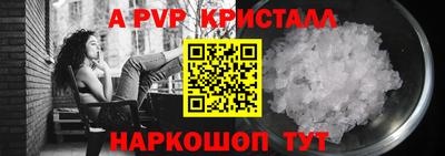 гидра Кингисепп