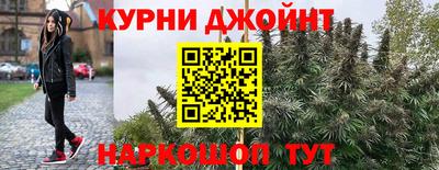 spice Кимры