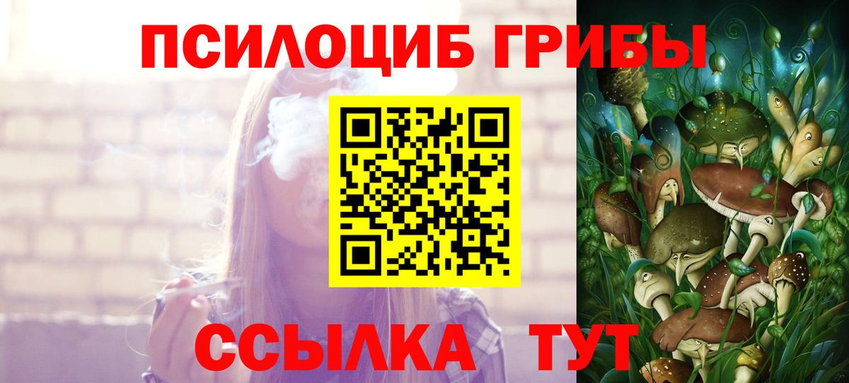 Псилоцибиновые грибы ЛСД Югорск